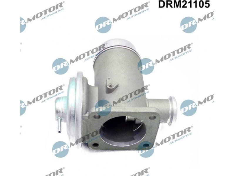 EGR Valve DRM21105