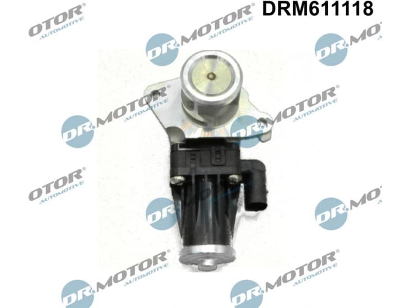 EGR Valve DRM611118