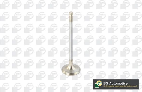 Exhaust Valve V820011