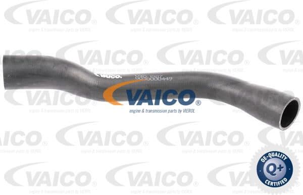 Vent Hose, fuel tank Original VAICO Quality V401987