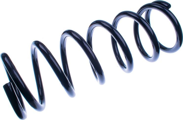 Suspension Spring D700257
