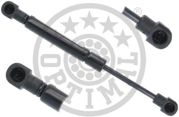 Gas Spring, boot/cargo area AG-50241