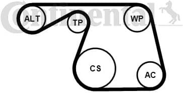 Water Pump + V-ribbed Belt Kit 6PK1310WP1