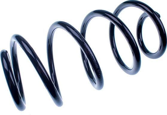 Suspension Spring D700290