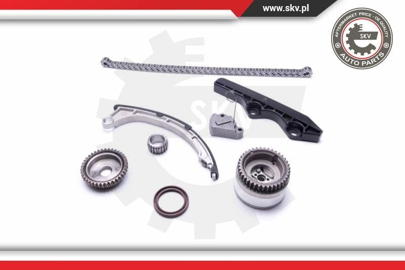 Timing Chain Kit 21SKV206 - image 2