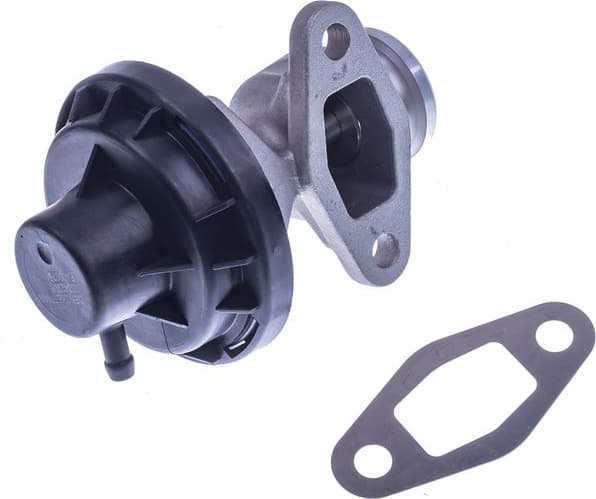 EGR Valve E400075