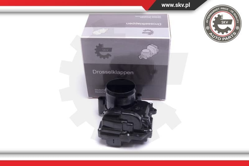 Throttle Body 12SKV112