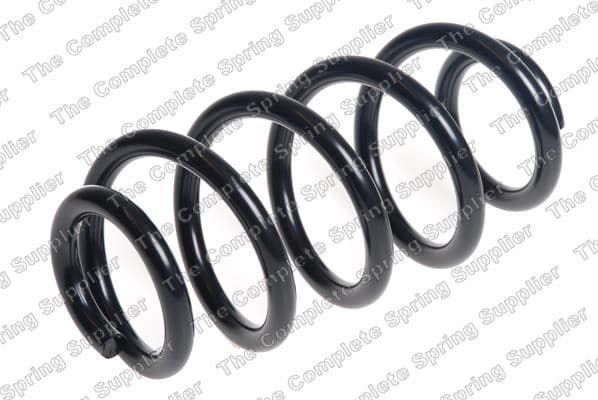 Suspension Spring 4208504