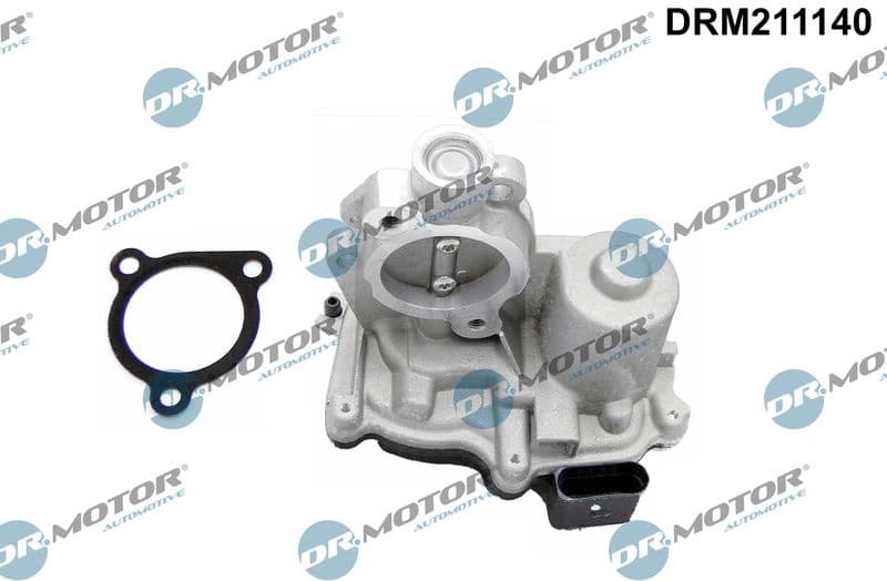 EGR Valve DRM211140