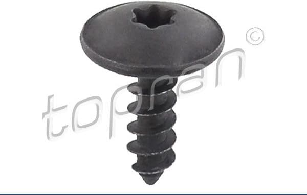 Screw 114 393