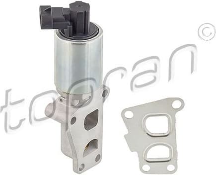 EGR Valve 207 442