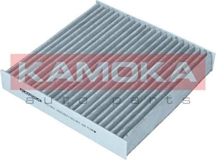 Filter, cabin air F517601 - image 6