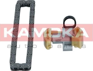 Timing Chain Kit 7001703