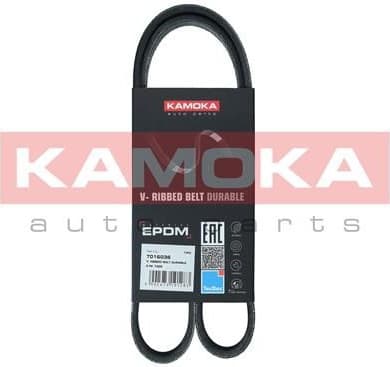 V-ribbed Belt 7016036