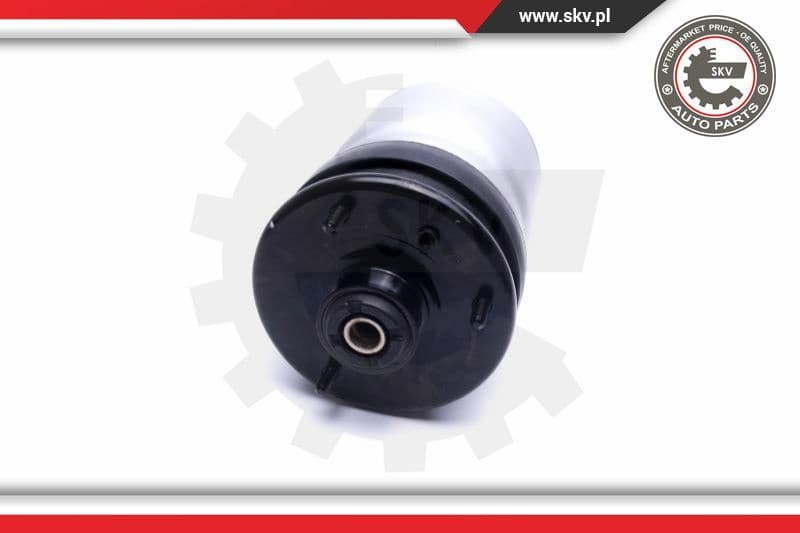 Air Suspension Strut 58SKV059
