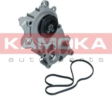Water Pump, engine cooling T0286