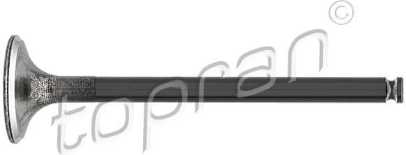 Exhaust Valve 400 972