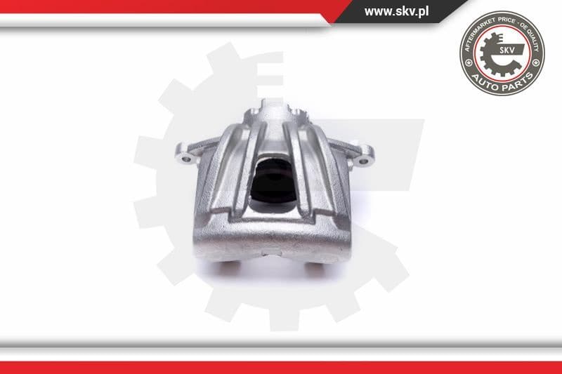 Brake Caliper 50SKV132