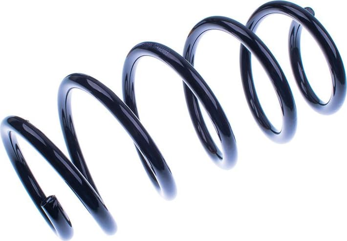 Suspension Spring D700325