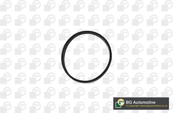 Gasket, intake manifold RW3399