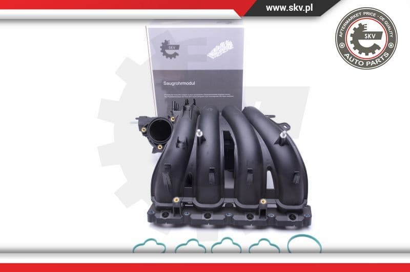 Intake Manifold Module 49SKV043
