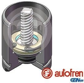 Piston, brake caliper D025529K