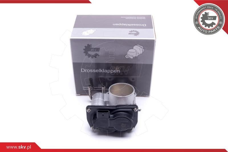 Throttle Body 12SKV110