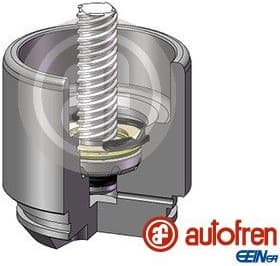 Piston, brake caliper D025691RK