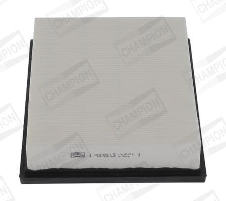 Air Filter CAF101183P