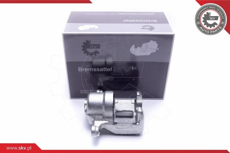 Brake Caliper 55SKV484