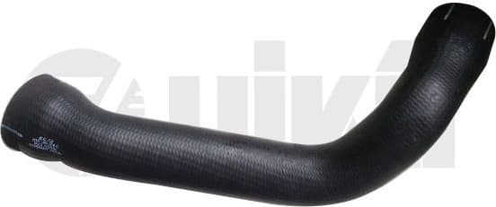 Charge Air Hose 11451779901