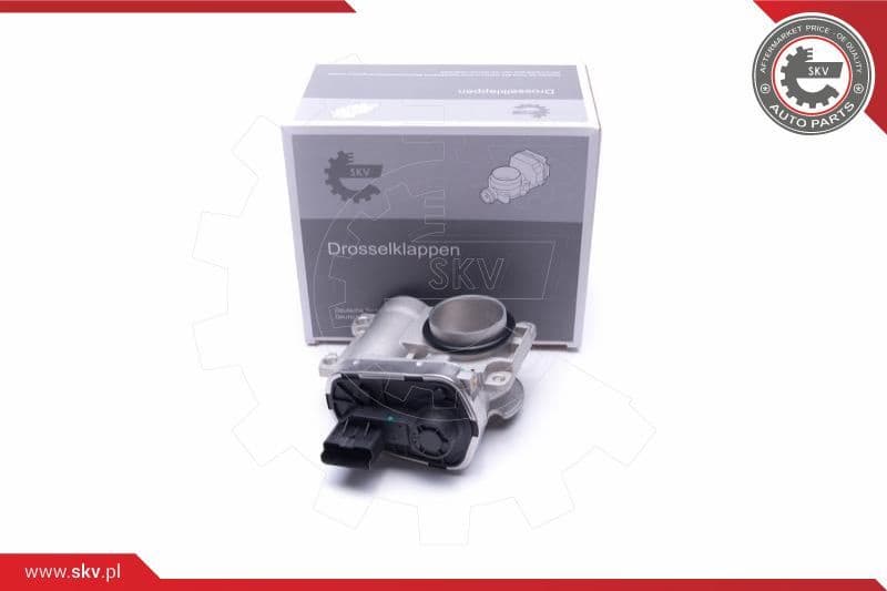 Throttle Body 12SKV102