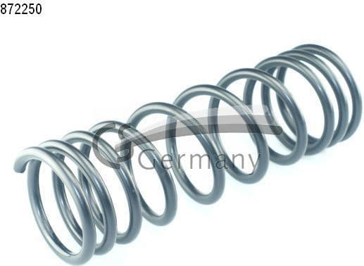 Suspension Spring 14872250