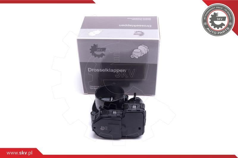 Throttle Body 12SKV120