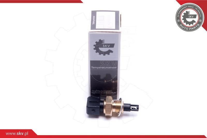Sensor, intake air temperature 17SKV685