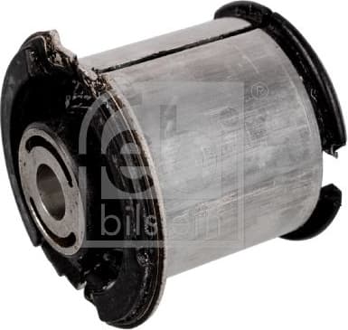 Mounting, control/trailing arm 173164