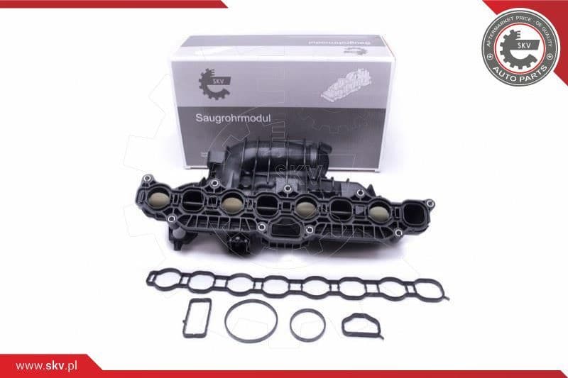Intake Manifold Module 49SKV030