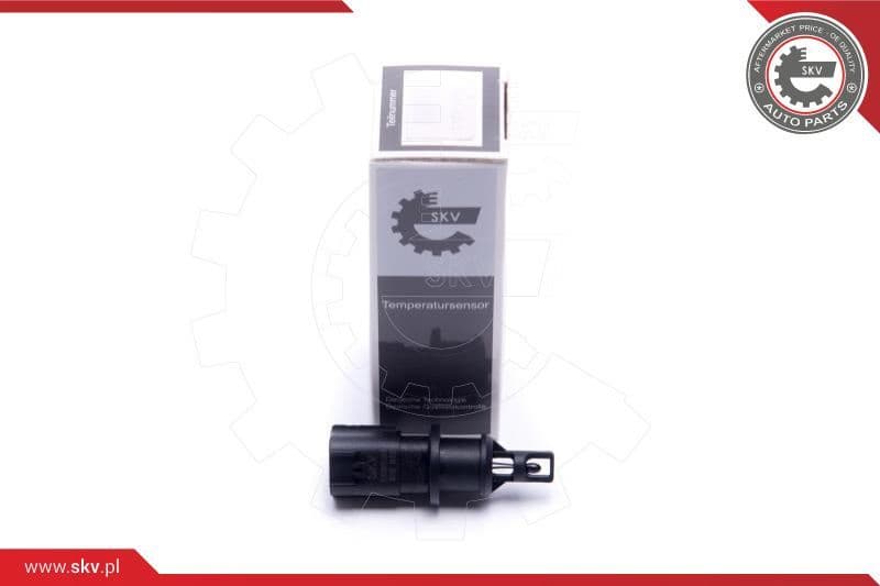 Sensor, intake air temperature 17SKV681