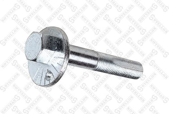 Camber Correction Screw 79-01124-SX