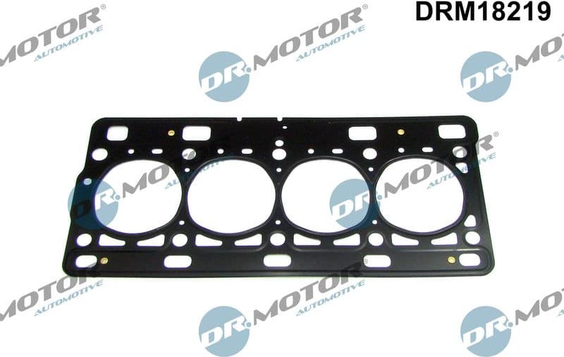 Gasket, cylinder head DRM18219