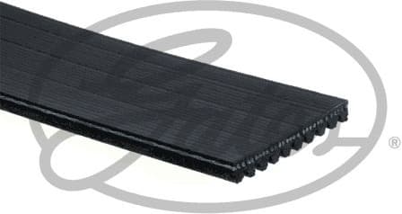 V-ribbed Belt FleetRunner™ Micro-V® 10PK1340HD