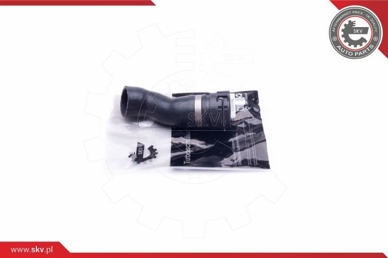 Radiator Hose 43SKV842