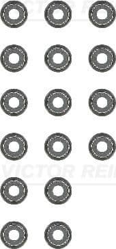 Seal Set, valve stem 12-10031-01