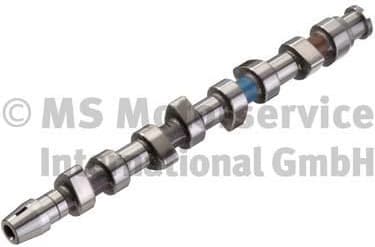 Camshaft 50006210