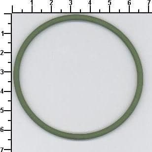 Gasket, timing case 919.179
