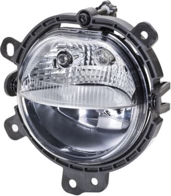 Front Fog Light 1N1011748011