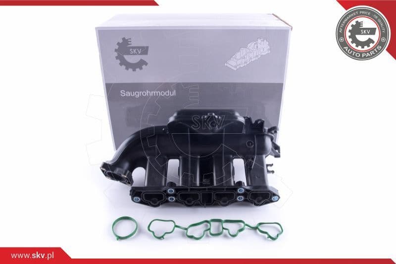 Intake Manifold Module 49SKV058