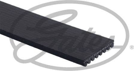V-ribbed Belt FleetRunner™ Micro-V® 8PK2585HD