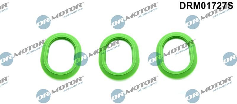Gasket Set, intake manifold DRM01727S