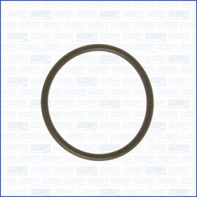 Gasket, coolant flange 16024400